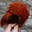 Whiting Exclusive WET Fly Hen Cape in Fiery Brown